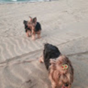 Meet your Posher, Carmen